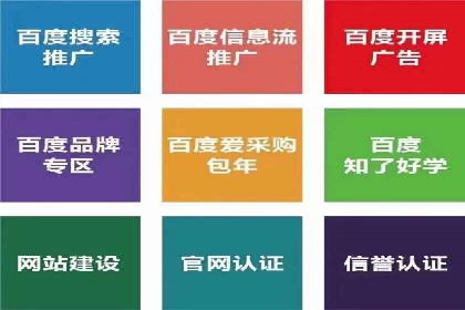 SEM代理服务：案例分享，效果显著